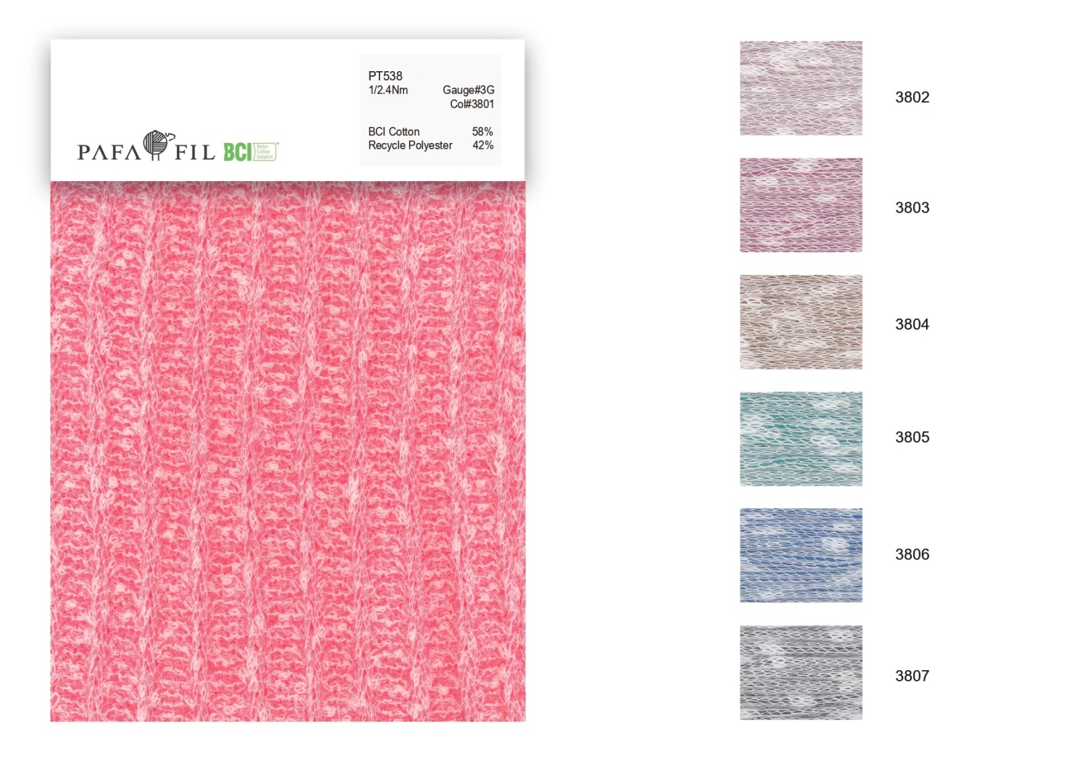 PT538 Color card